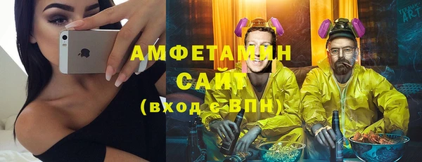 прущие грибы Алзамай