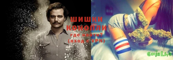 прущие грибы Алзамай