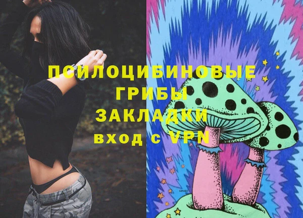 прущие грибы Алзамай